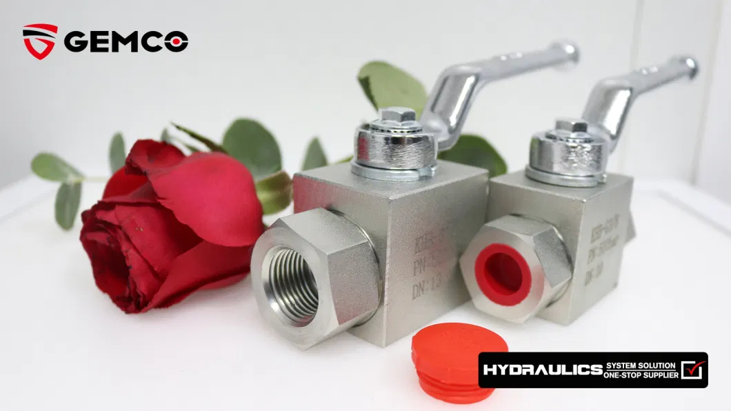 Stainless Steel Ball Valve / NPT3/8 Steel High Pressure Ball Valve / BSP1/4 Brass Hydraulic Valve / PN500/300Bar Female Ball Valve / DIN-ISO1219 Valve